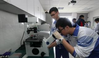 成都两15岁学生被清华录取