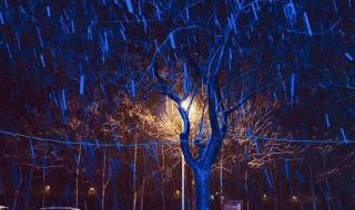 我慢慢的听雪落下的声音