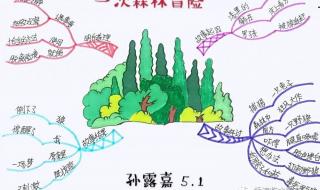 神奇的探险之旅400字作文